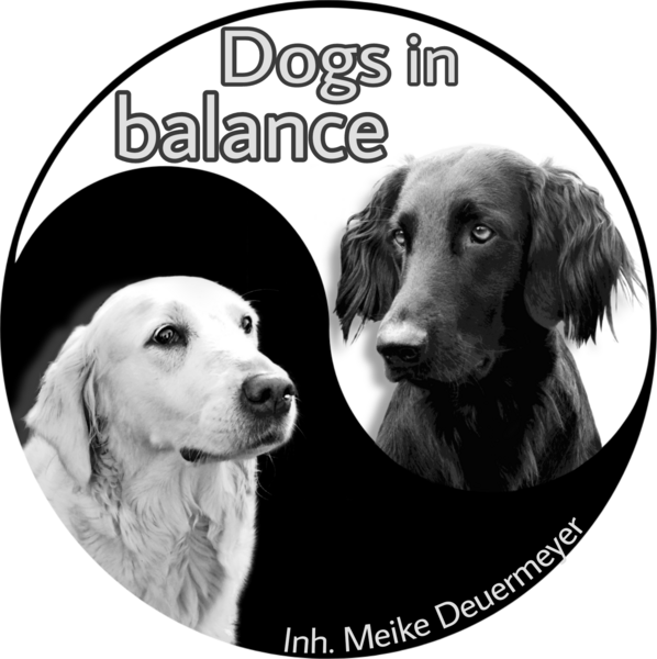 Hundeschule Deuermeyer