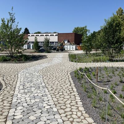 Regeng&auml;rten im Bau, Stadtpark B&uuml;dingen