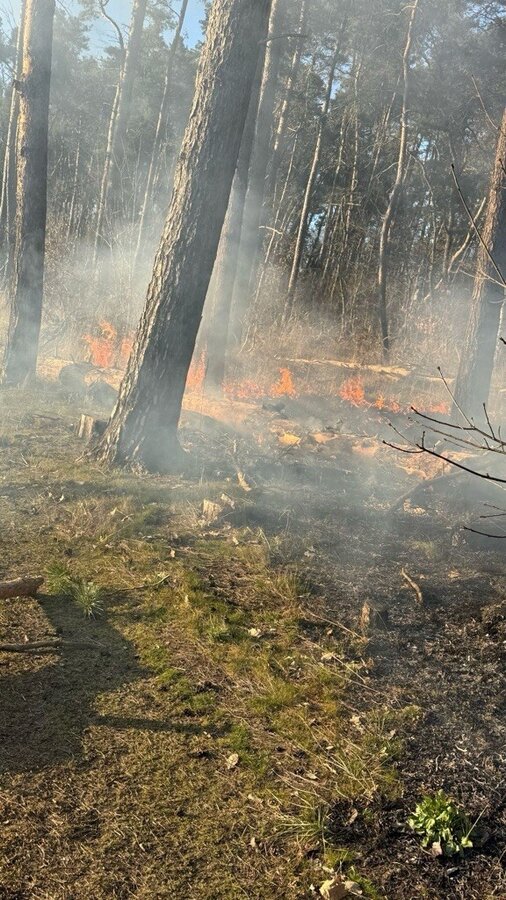 Waldbrand