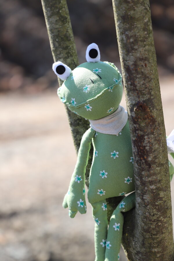 Frosch im Stadtparkbaum